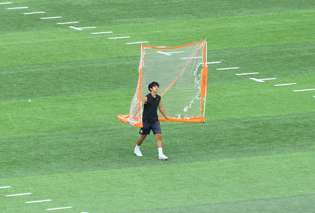 项目